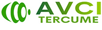 AVCI Tercüme